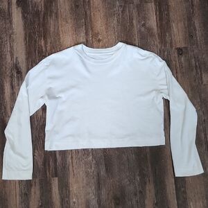 Everlane Cropped Longsleeve Shirt